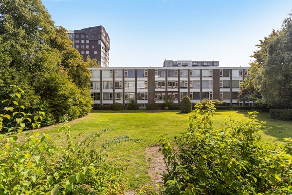 Medium property photo - Zoutmanstraat 12, 3317 XN Dordrecht